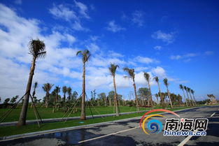 国际旅游岛先行试验区主干道安置区预计年底完工