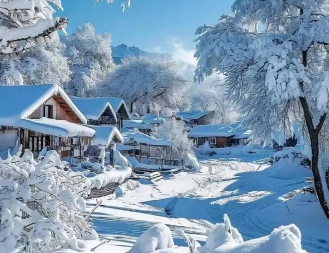 哈尔滨5天4晚纯玩团价格解析与优质旅行社推荐